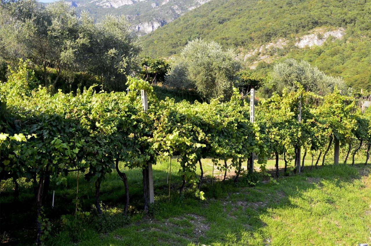 Ca Ulivi Bed and Breakfast Ala Εξωτερικό φωτογραφία