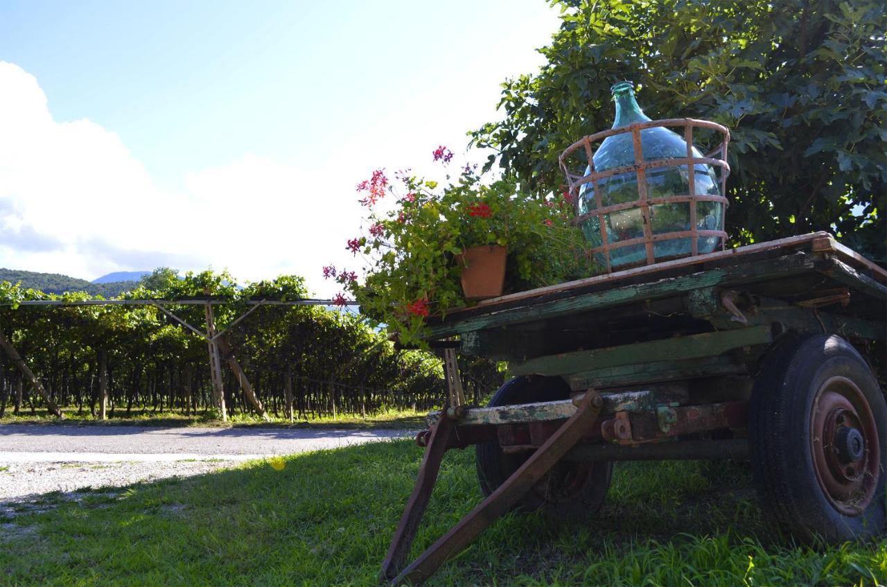 Ca Ulivi Bed and Breakfast Ala Εξωτερικό φωτογραφία