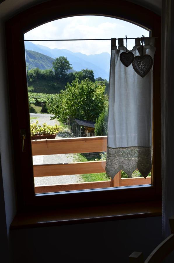 Ca Ulivi Bed and Breakfast Ala Εξωτερικό φωτογραφία