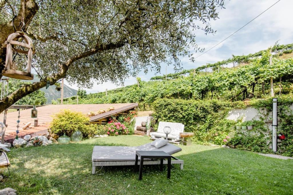 Ca Ulivi Bed and Breakfast Ala Εξωτερικό φωτογραφία